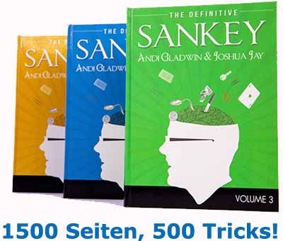 Definitive-Sankey-5