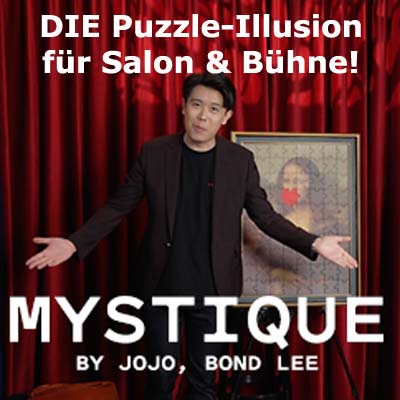 Mystique-Puzzle-Illusion